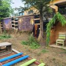 펠리시떼 이미지