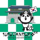 요기나라판다 이미지