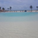 시크릿푸드 이미지