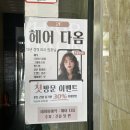 다옴찬 | 광주 신창동 단발 테슬컷 맛집!! 후기|헤어다옴