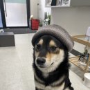 네일닷킴