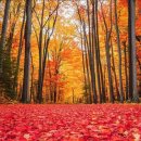 11월 24일 월요일 간추린 뉴스와 날씨 이미지