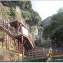 서귀포여자고등학교 이미지