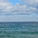 영덕울진축산농협울진지점 하나로마트 이미지