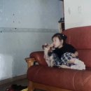 챠오챠오 이미지