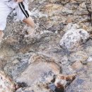 지리산 계곡 노아펜션 이미지