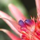 안산식물원 이미지