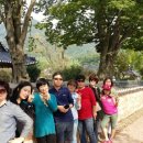 도래도래민박 네이버블로그