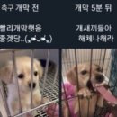 월 이미지