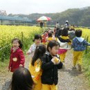 꽃밝음 이미지