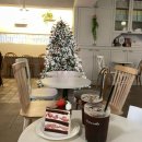 GS25 남서울사랑점 | 연남동 | 카페 펫어케이크 크리스마스 트리 맛집🎄 추천내돈내산 솔직후기