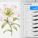 수채화와 디지털 보태니컬 드로잉 이미지