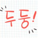 만선참가자미 이미지