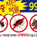EM에코시스템