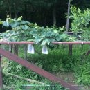 정혜훈 공인중개사 이미지