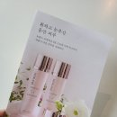 [스킨로션/크림] 뉴랜드올네이쳐 처음써본 솔직후기