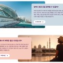 매력it개 이미지