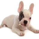 일요농장 이미지