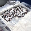 마산식당 이미지