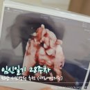 화사의원 | 임신일기 28주) 천안 서브병원 새로여성의원 추천, 초음파 후기
