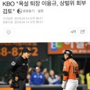 [프로야구] KBO "욕설 퇴장 이용규, 상벌위 회부 검토" 이미지