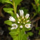 수영-101 이미지