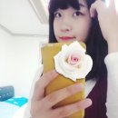 서울러 이미지