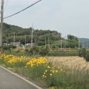소류지공원(1) | 경남고성 초곡마을 벽화,소류지 도연서원 장산숲 힐링산책