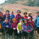 상봉화인아파트 이미지