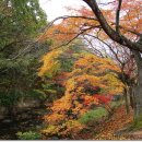 고창 선운사의 아름다운 가을풍경 이미지