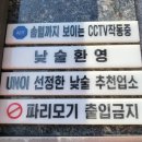 후루룩손칼국수 이미지
