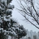 일이일삼