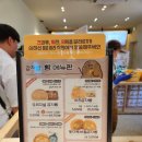 트인자리애 2차 | 춘천 맛집 감자빵 카페 감자밭 3회 춘천감자축제 비참가자 내돈내산 염탐 후기