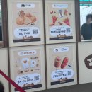 장터1 | 춘천 축제 | 2025 춘천 감자페스타 샘밭장터 1일차 후기