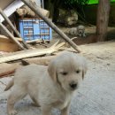 보성농원 이미지