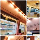 진주강아지분양 고양이분양 미유펫 이미지