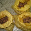 안양대교_상 이미지