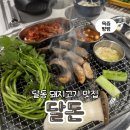 세븐일레븐 울산동평공원점 | [울산/달동] 육즙 팡팡 터지는 고기 맛집 달돈 달동가성비맛집