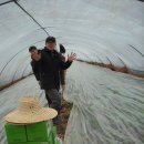 도농문화교류영농조합법인 이미지