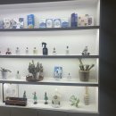 송정 호텔 젬 이미지