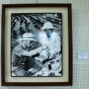 박정희로-3 이미지