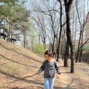 회룡역 자전거주차장 | 수도권 벚꽃 명소 BEST 5 올봄 인생샷 스팟 총정리