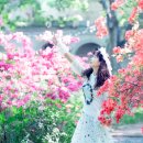 삼풍농장 이미지