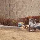 화원큰별유치원 이미지