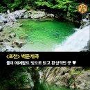 요기어때 Daum카페