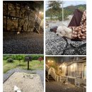 포포애견펜션 | 포천 애견펜션 "포포펜션" 솔직후기