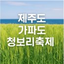 제주도+가파도[청보리+왕벚꽃+유채꽃](4월3일~5일)1무1박3일 이미지