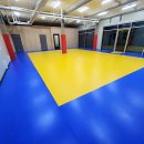 용인대 레고유도관 이미지