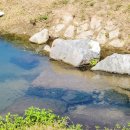 율곡천 4 이미지