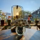 플라워플라워(ff cafe)